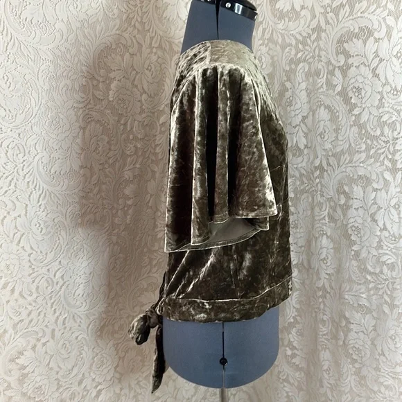 ❌SOLD❌Willow & Root Open Back Velvet Top - Picture 3 of 7